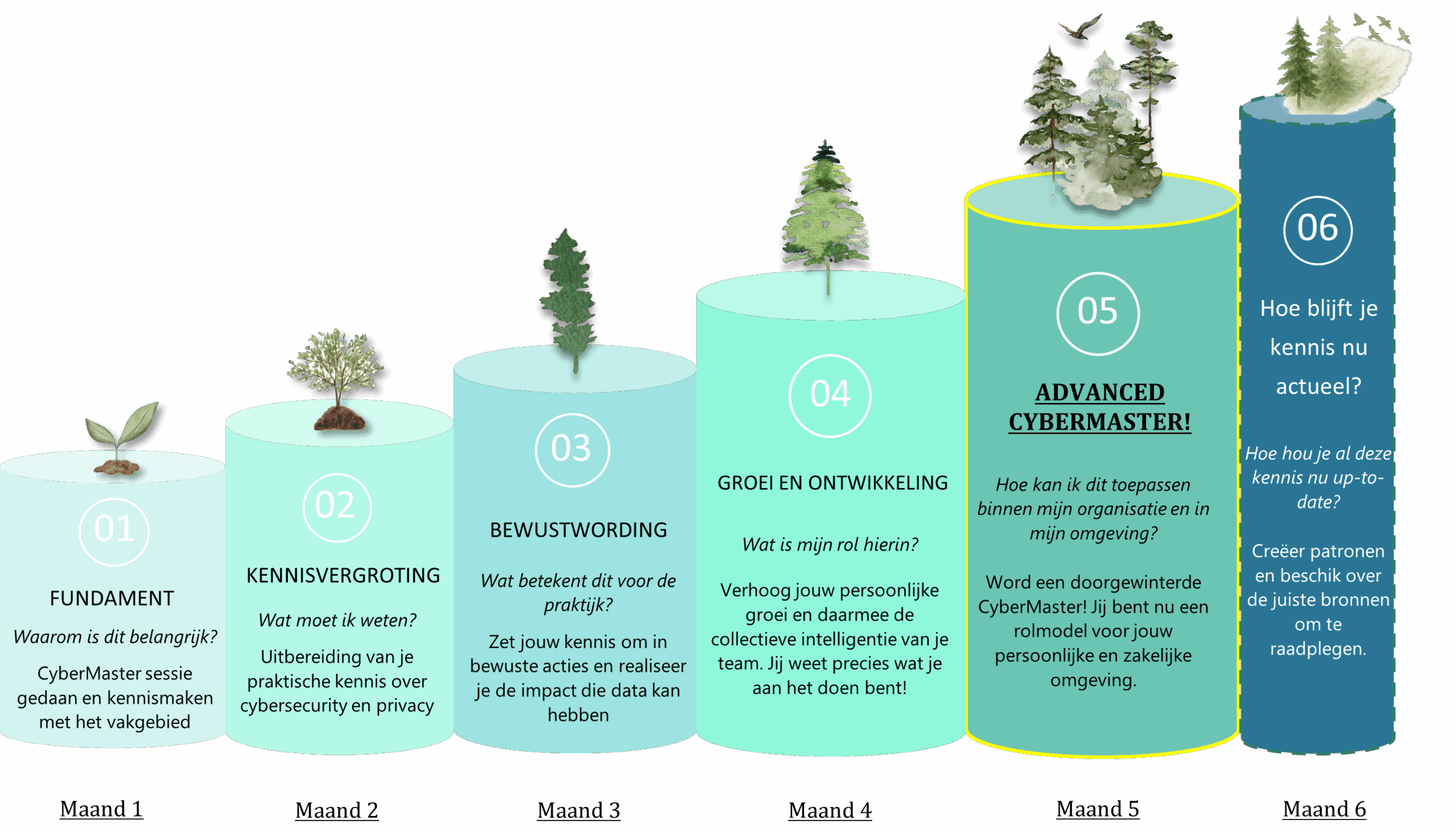6 Fases van het Cyberawareness Traject